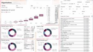 charity-excellence-power-bi-dashboard
