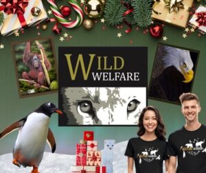 wild-welfare