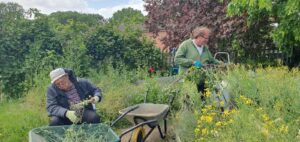 earth-works-st-albans